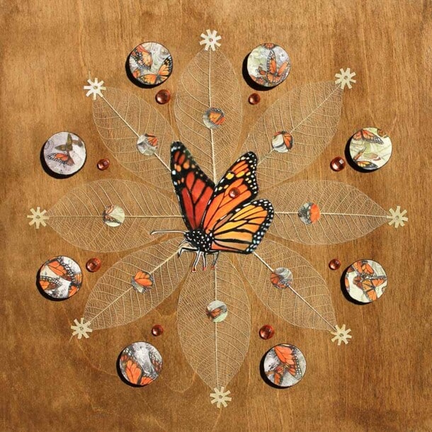 Mandala - Monarch by Carmen McCullough