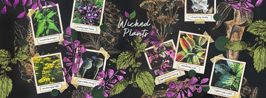 SFG Wicked Plants Header